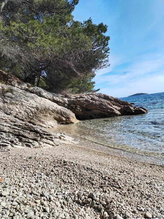 Plaža u neposrednoj blizini apartmana